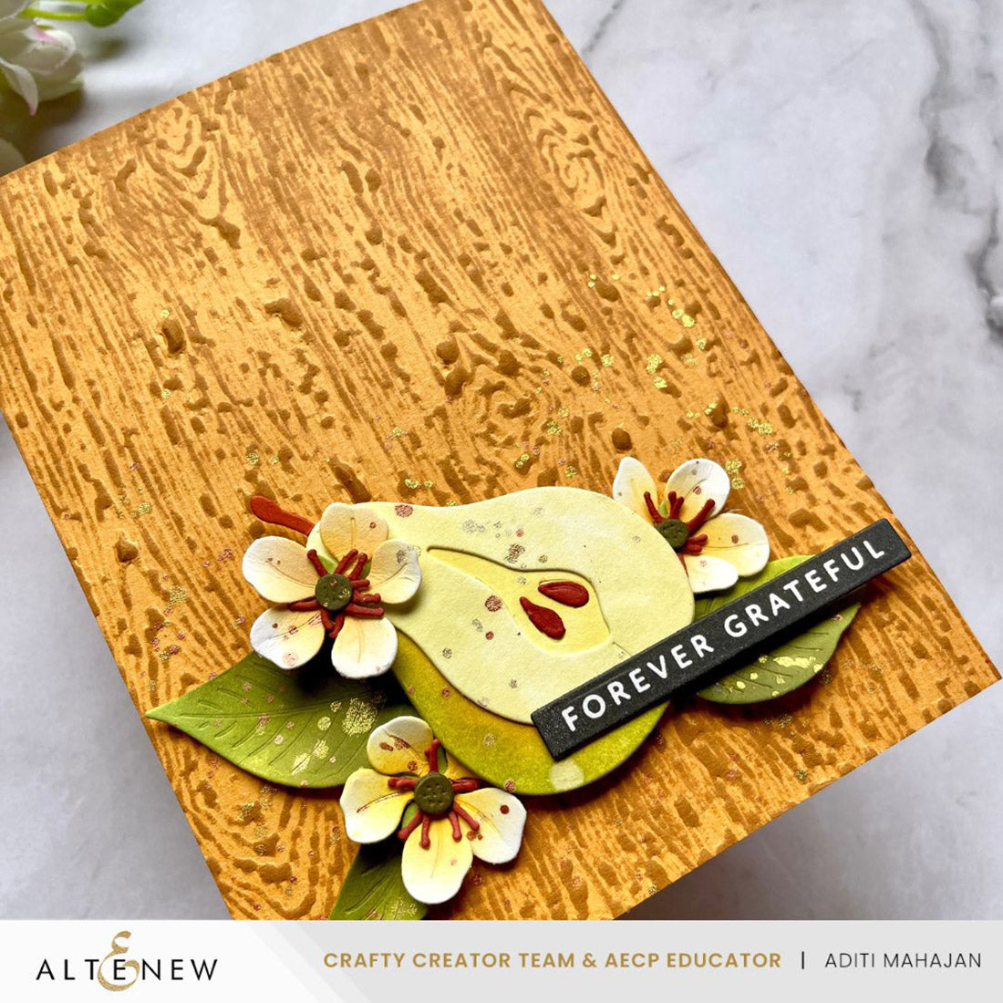 Altenew - One-Go: Solid Sentiment Strips 3 Press Plates/Foil Plates (Gratitude Edition)