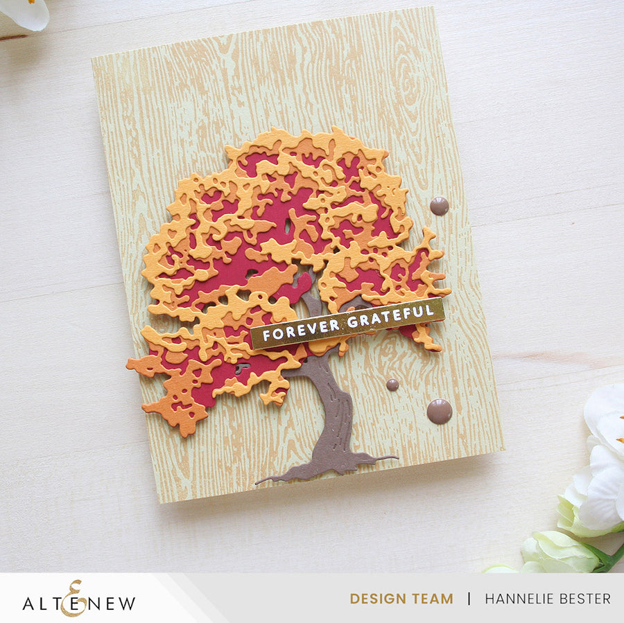 Altenew - One-Go: Solid Sentiment Strips 3 Press Plates/Foil Plates (Gratitude Edition)