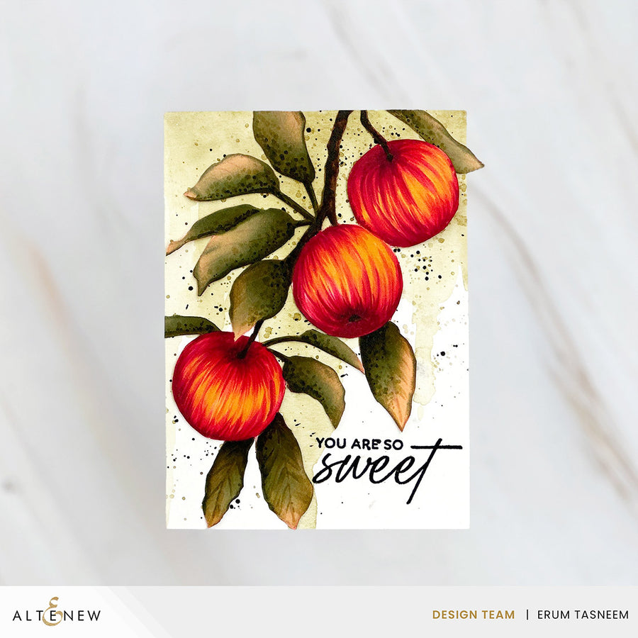 Altenew - Craft Your Life Project Kit: Sweet Harvest