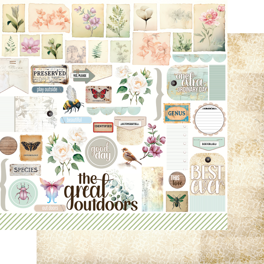 Uniquely Creative - Documented Flora Paper (Floral Archives Collection)