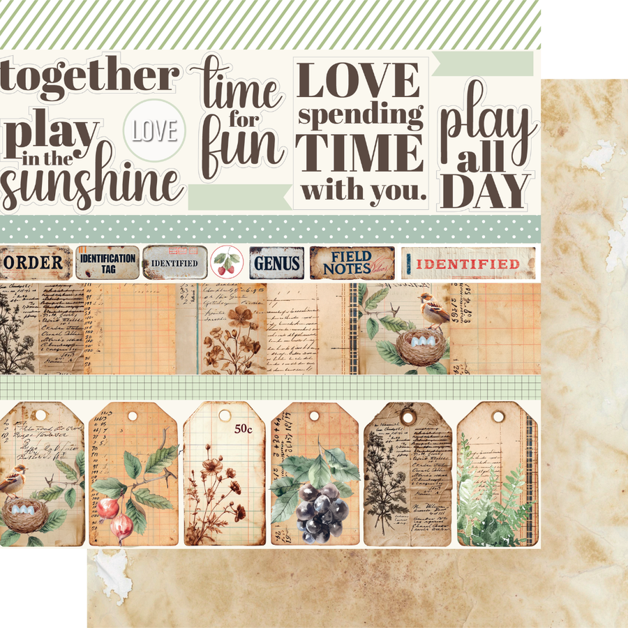 Uniquely Creative - Notebook Paper (Botanical Chronicles Collection)