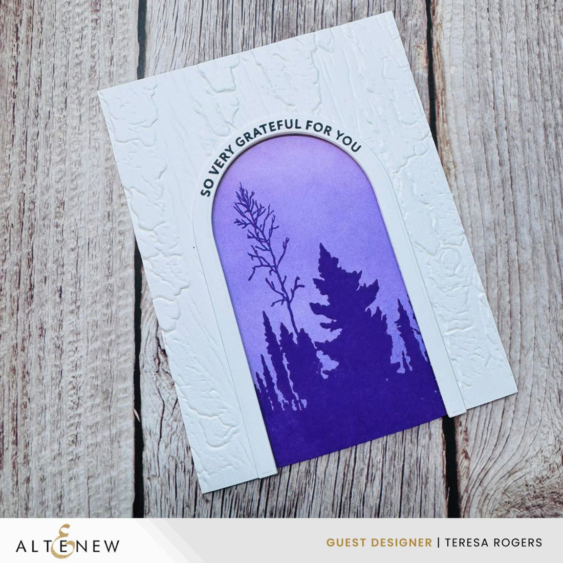 Altenew  Arched Sentiments Stamp Set