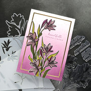 Concord & 9th (Kristina Werner) - Long Line Lilies Stencil Pack