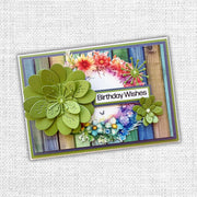 Paper Rose - Rainbow Twirl 2.0 Die Cuts
