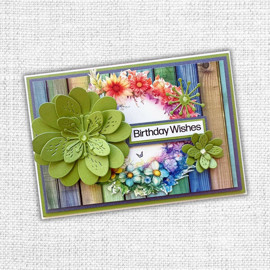 Paper Rose - Rainbow Twirl 2.0 Die Cuts