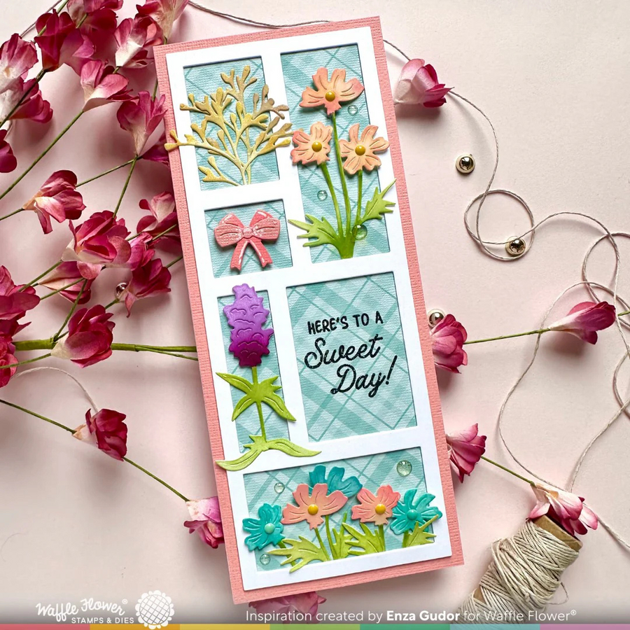 Waffle Flower - Dry Flowers Die