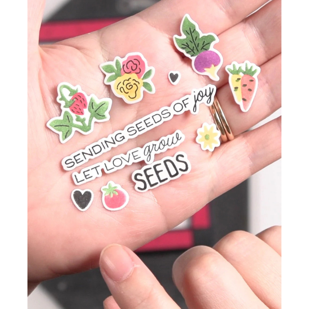 (PRE-ORDER) Waffle Flower - Postage Collage Seeds Details Matching Die