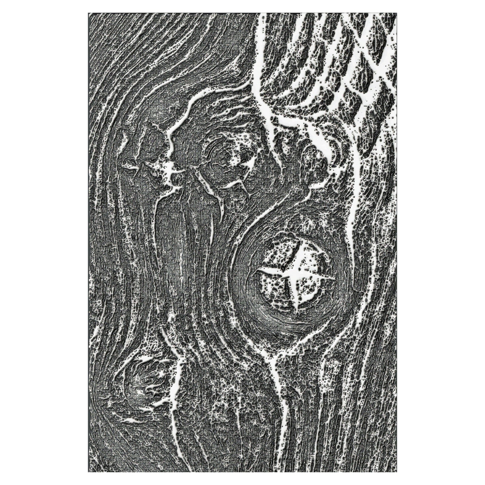 Tim Holtz - Woodgrain 3-D Texture Fades Embossing Folder