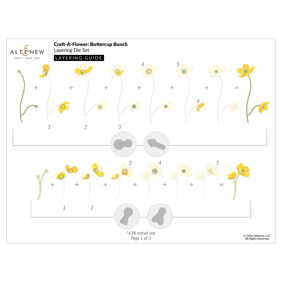 Altenew - Craft-A-Flower: Buttercup Bunch Layering Die Set