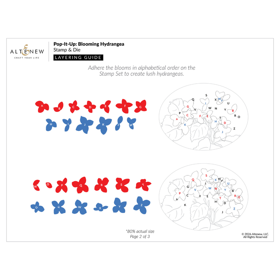 Altenew - Pop-It-Up: Blooming Hydrangea Stamp & Die Set