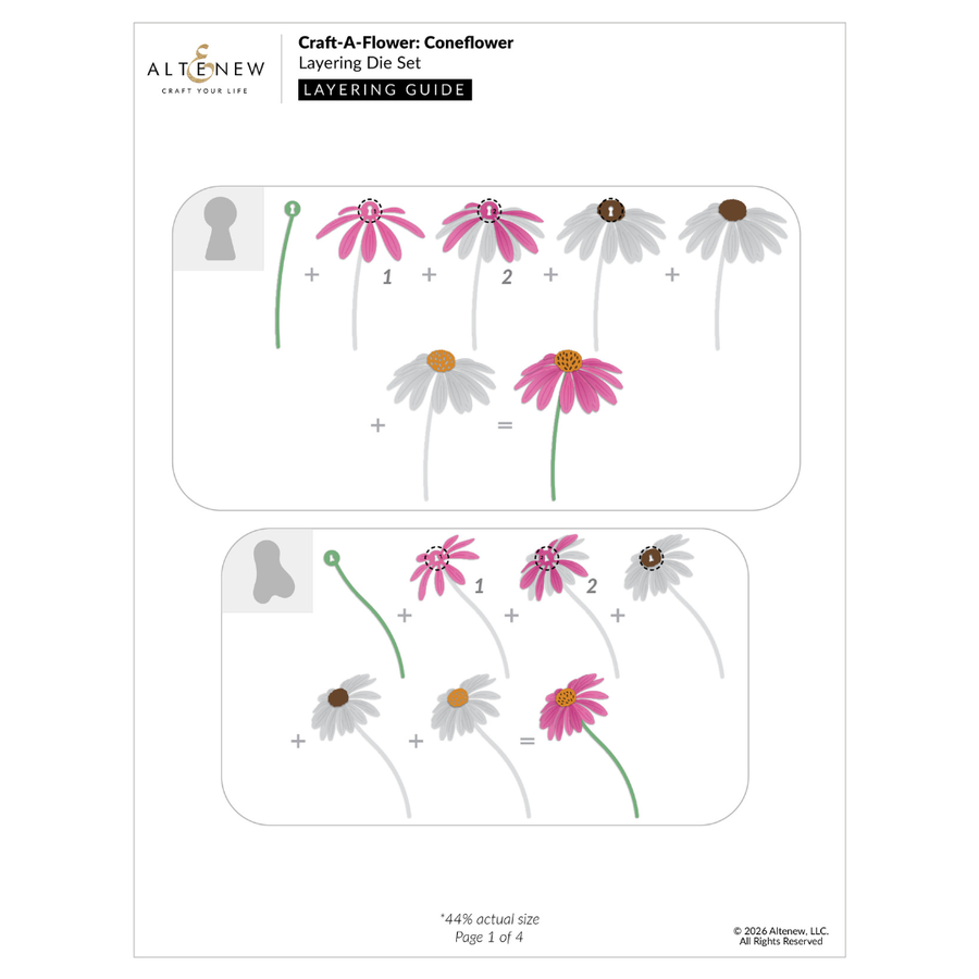 A crafting layering guide sheet from Altenew titled 'Craft-A-Flower: Coneflower Layering Die Set'. The page shows two panels with illustrated coneflower diagrams and layering instructions, including numbered flower layers and size notes at the bottom.