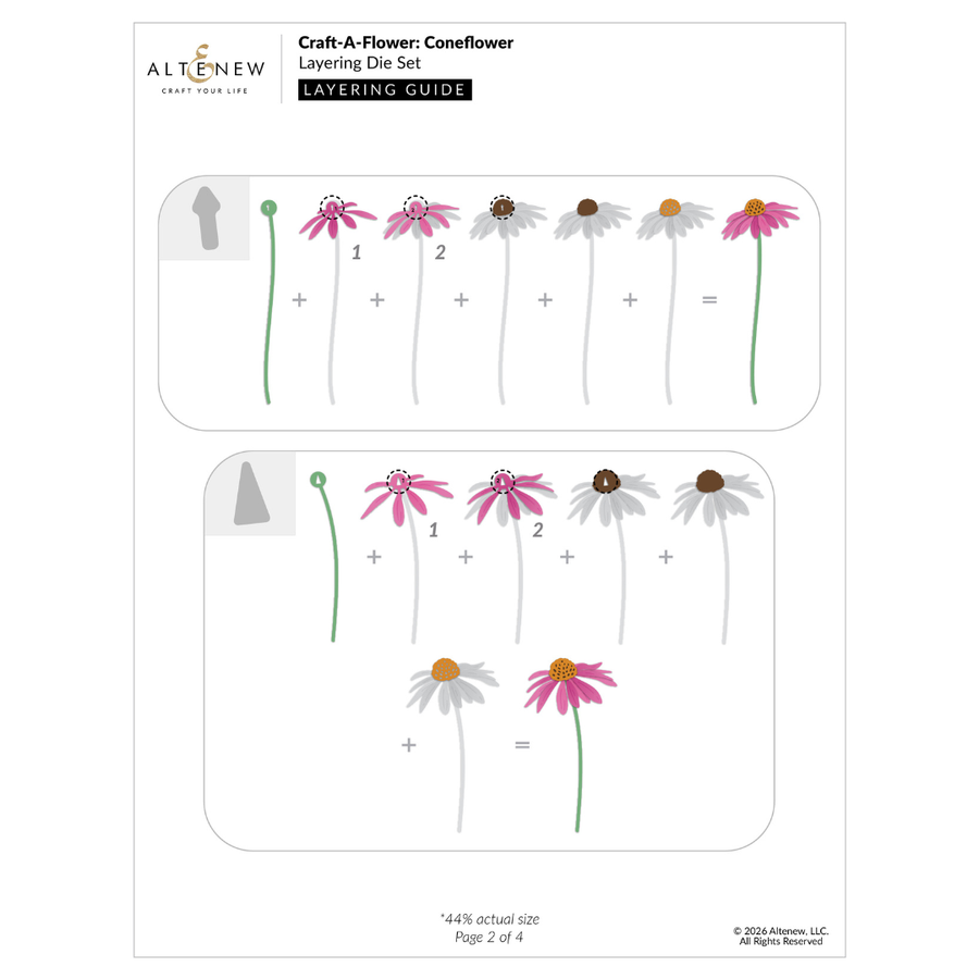 A crafting layering guide sheet from Altena titled 'Craft-A-Flower: Coneflower Laying Die Set'. The page features step-by-step illustrated instructions for layering die-cut flowers, showing pink and white coneflowers in various stages of assembly with plus and equals signs.