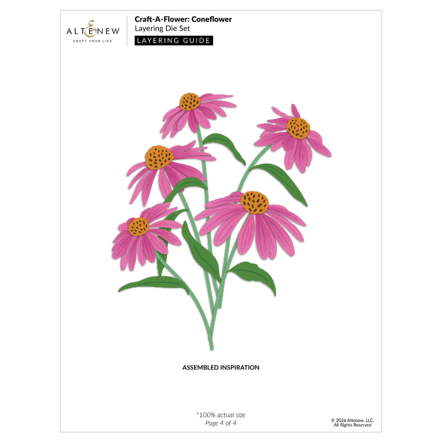 A craft layering guide page from Altenew for the Craft-A-Flower: Coneflower featuring an assembled illustration of pink coneflowers with yellow-orange centers and green stems on a white background.
