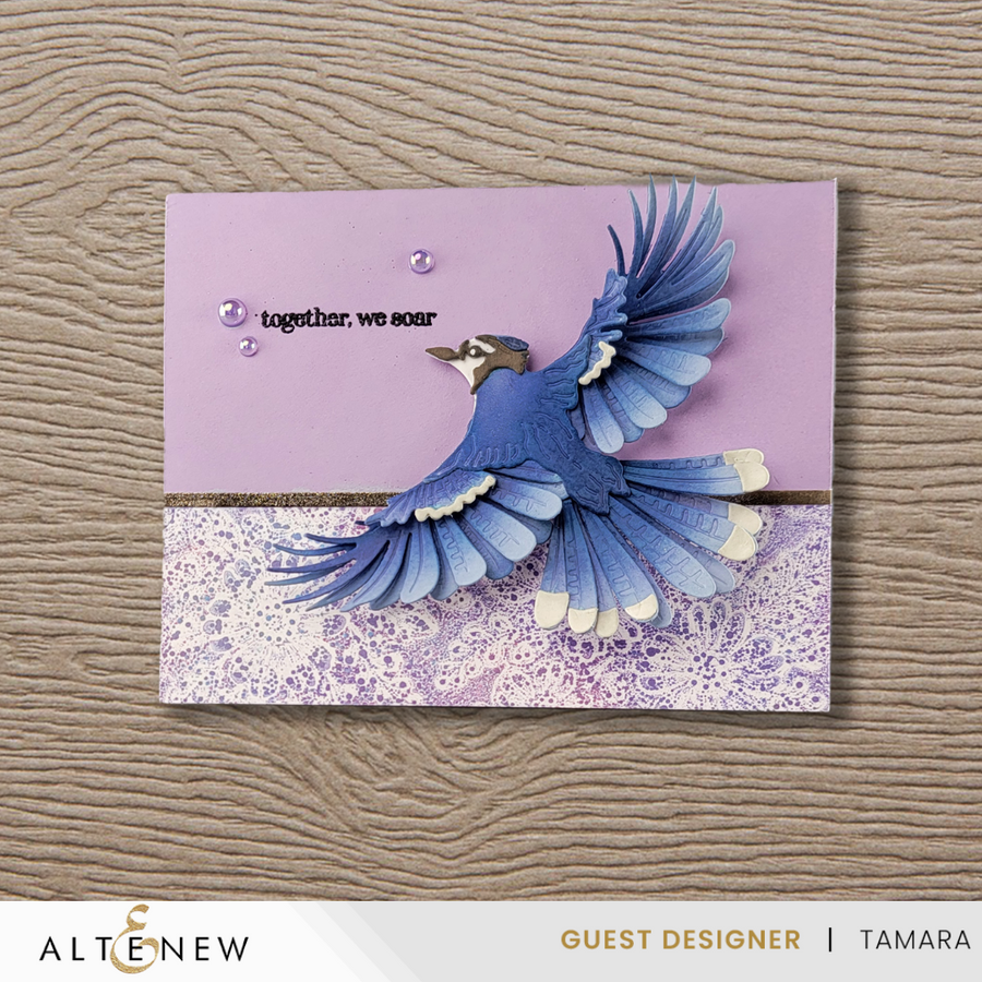 Altenew - Creative Cuts: Feathered Beauty Layering Die Set