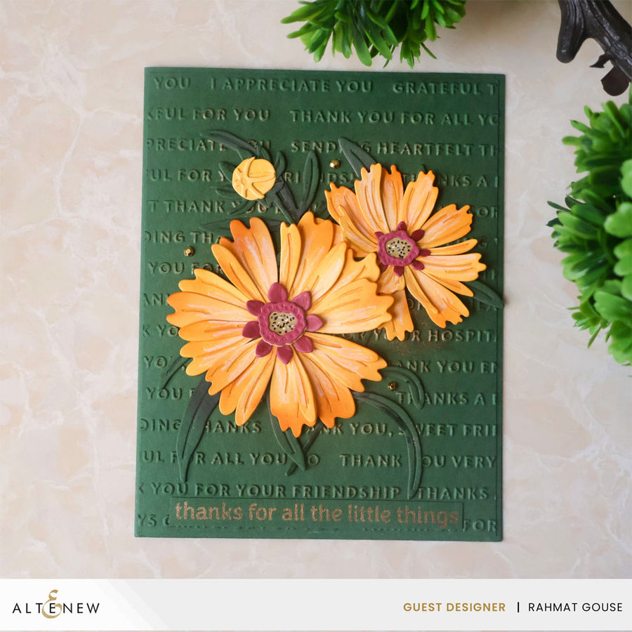 Altenew - Ways to Thank You 3D Embossing Folder