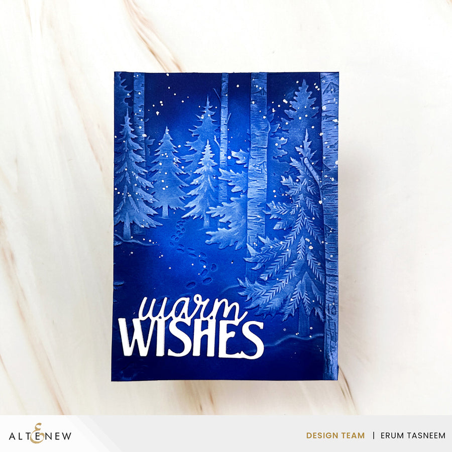 Altenew - Snowy Footpath 3D Embossing Folder