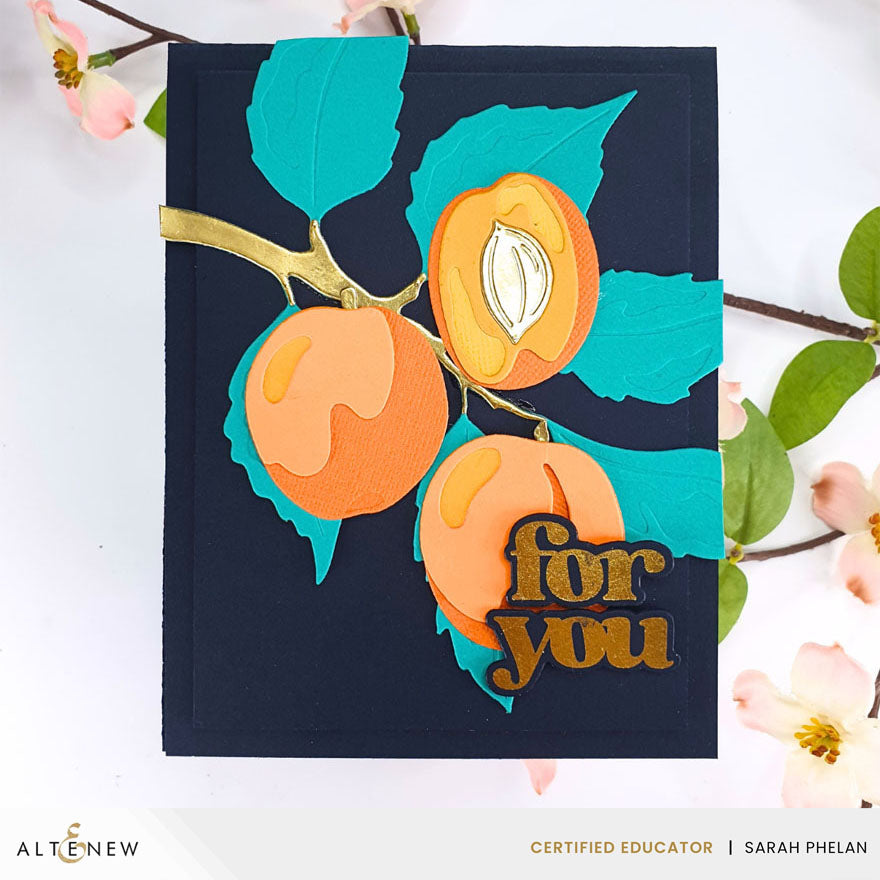 Altenew - Versatile Greetings 3 (Comfort Edition)