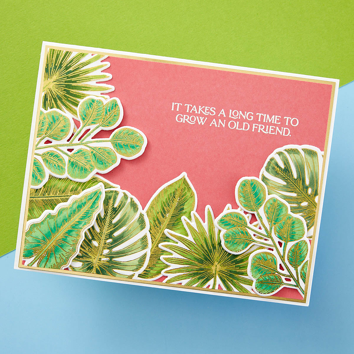 Spellbinders - Tropical Leaves Press Plate & Die Set from the Propagation Garden Collection by Annie Williams
