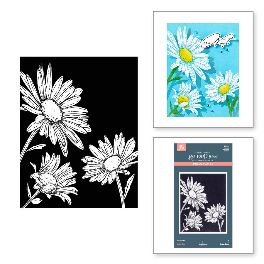 Spellbinders - Daisy Trio BetterPress and Stencil Bundle from the Yana's Daisies Collection by Yana Smakula