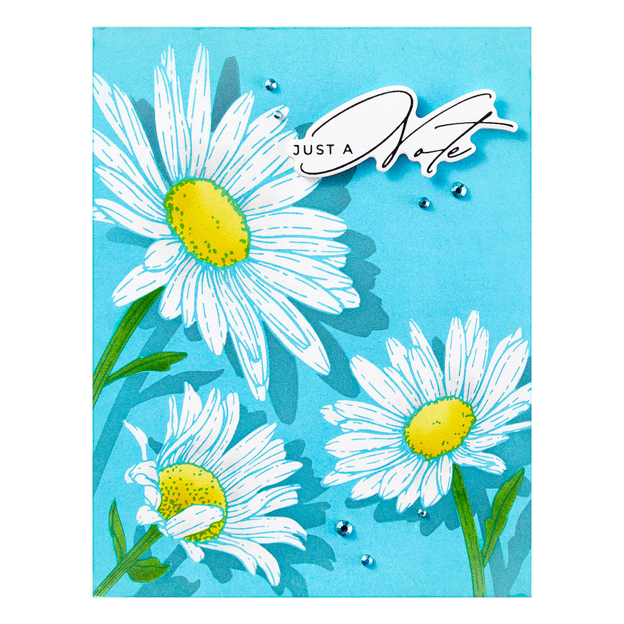 Spellbinders - Daisy Trio BetterPress and Stencil Bundle from the Yana's Daisies Collection by Yana Smakula