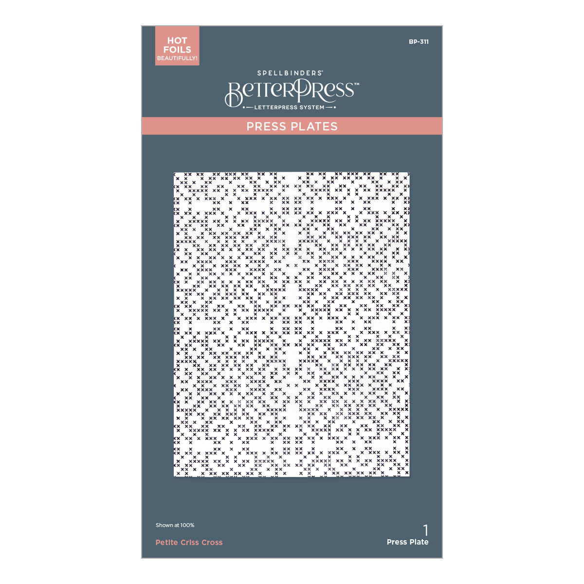 Spellbinders - Petite Criss Cross Press Plate from the Merry Moments Collection