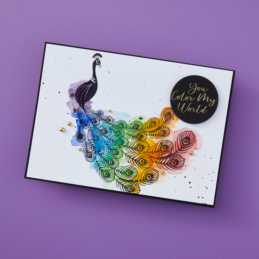Spellbinders - BetterPress Society May 2024 (Peacock)