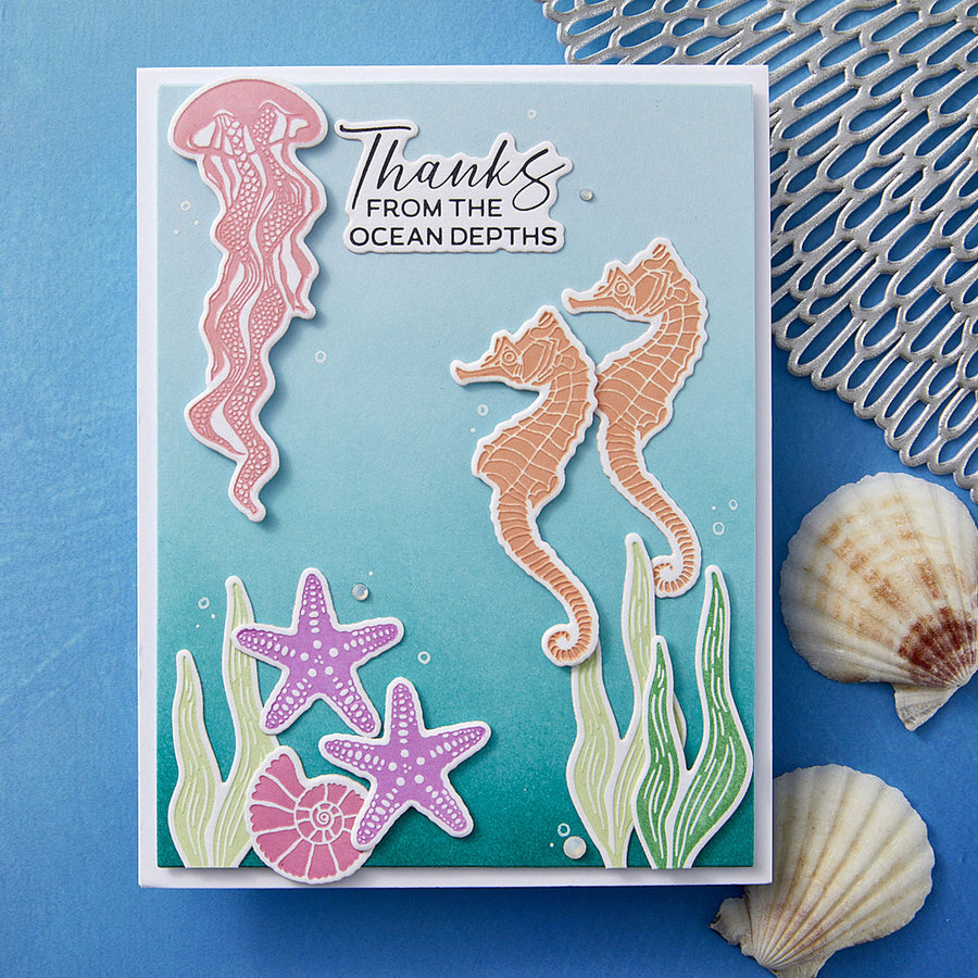 Spellbinders - BetterPress Society June 2025 (Sea Friends Press Plate & Die Set)