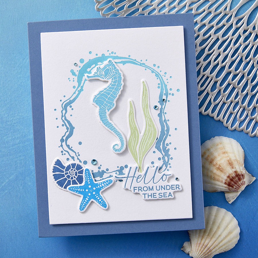 Spellbinders - BetterPress Society June 2025 (Sea Friends Press Plate & Dies Set & Add-on Sea Bubble Border Press Plate & Dies Set Bundle)