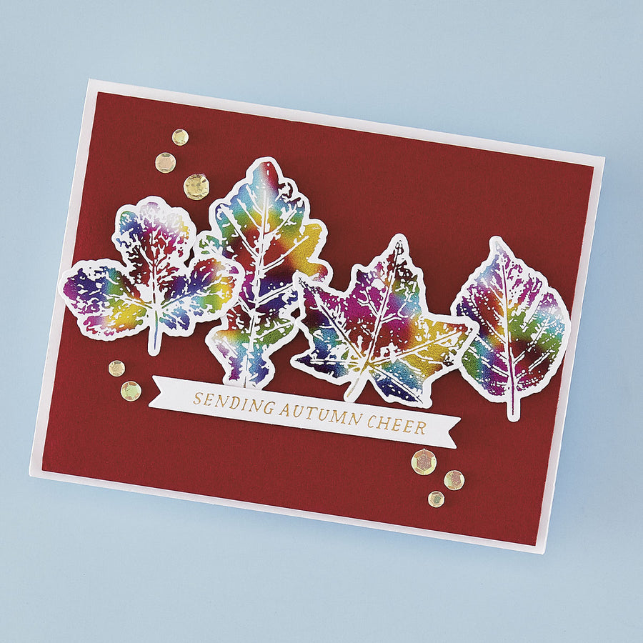 Spellbinders - BetterPress Society September 2025 (Autumn Cheer Press Plate & Die Set)