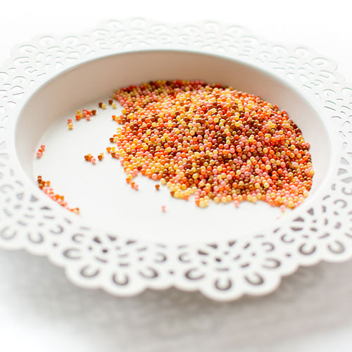 Multicolor craft beads in orange, red, yellow, and pink, piled on a white ceramic plate with a scalloped edge. Pretty Pink Posh Blush Harvest Shaker Beads