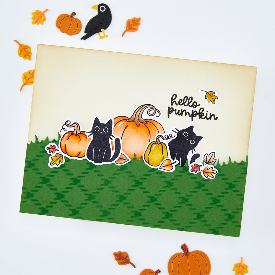 A handmade autumn-themed greeting card featuring cartoon cats, pumpkins, and leaves with the text 'hello pumpkin' on a cream background, photographed on a white surface with scattered decorative pumpkins and leaves around it.