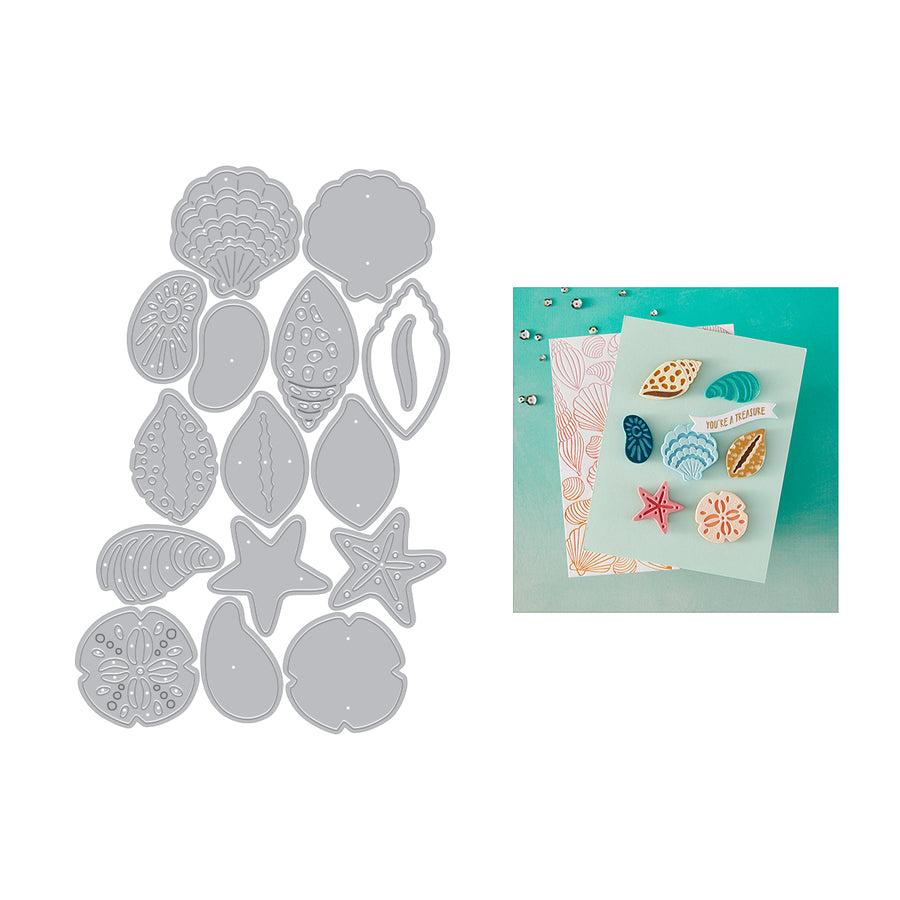 Hero Arts - Sophisticated Shells Etched Dies from the Summer by The Shore Collection