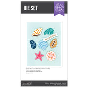 Hero Arts - Sophisticated Shells Etched Dies from the Summer by The Shore Collection