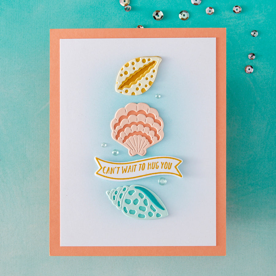 Hero Arts - Sophisticated Shells Etched Dies from the Summer by The Shore Collection