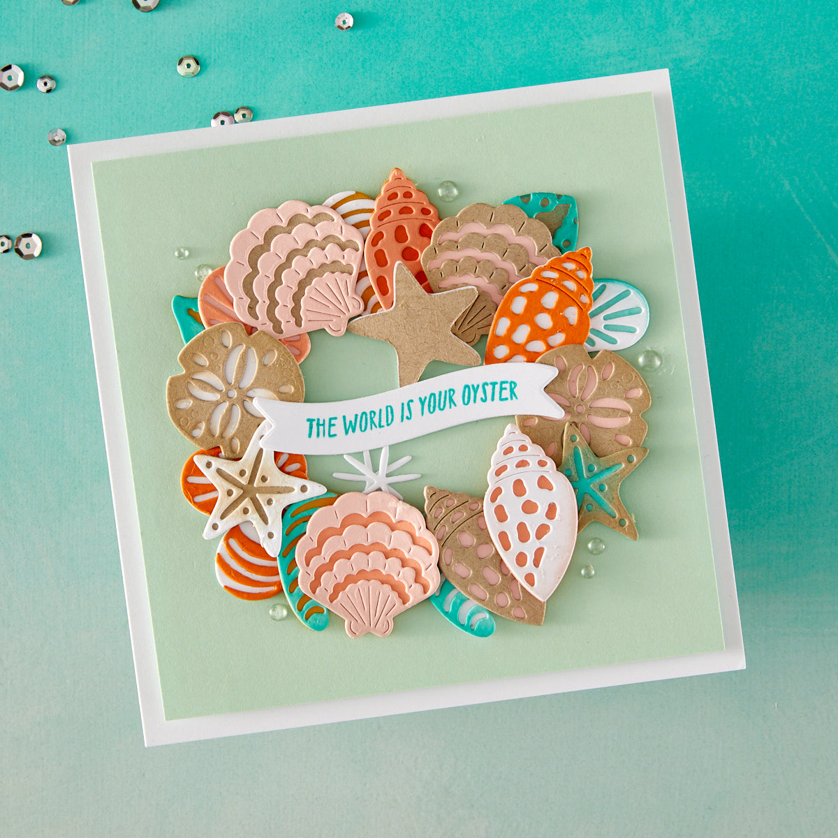 Hero Arts - Sophisticated Shells Etched Dies from the Summer by The Shore Collection