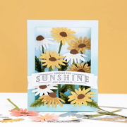 (PRE-ORDER) Concord & 9th - Shadow Box Base Dies
