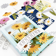 (PRE-ORDER) Concord & 9th - Daisy Delight Stamp Set