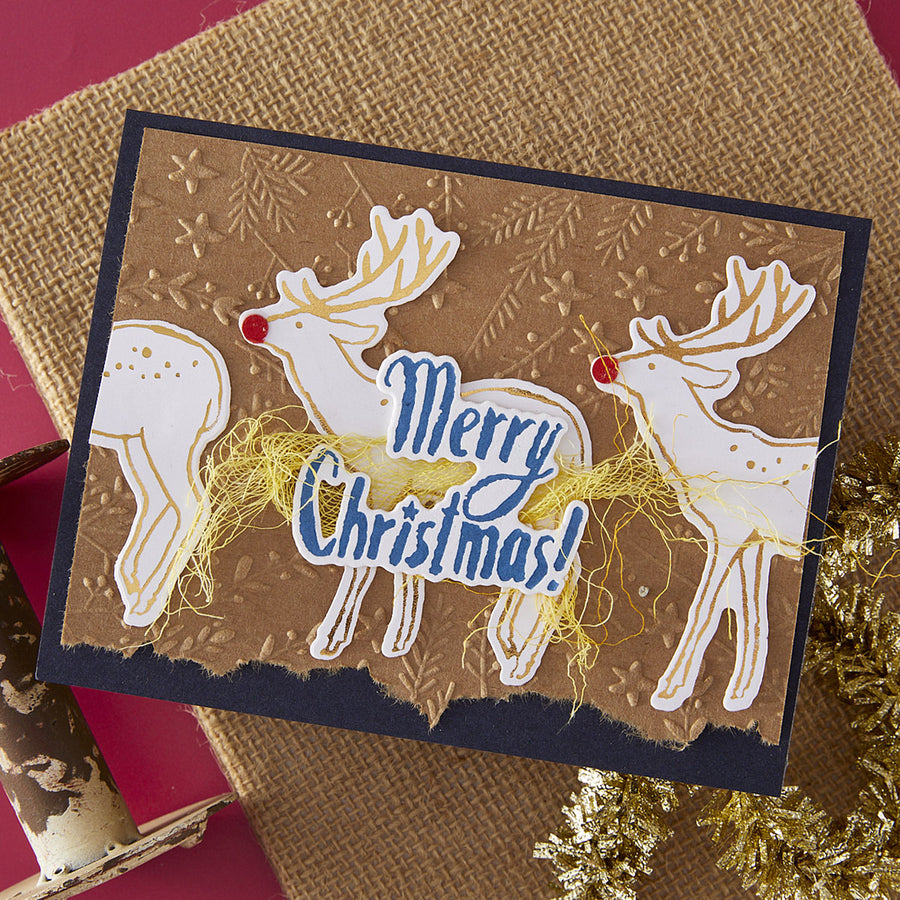 Spellbinders - Stars and Fronds Frame 3D Embossing Folder from the Starry Holiday Collection by Dina Wakley