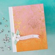 Hero Arts - Scattered Shells BetterPress + Foil Plate from the Summer by The Shore Collection