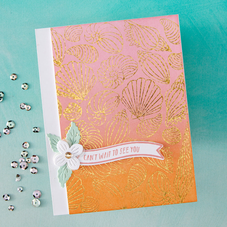 Hero Arts - Scattered Shells BetterPress + Foil Plate from the Summer by The Shore Collection