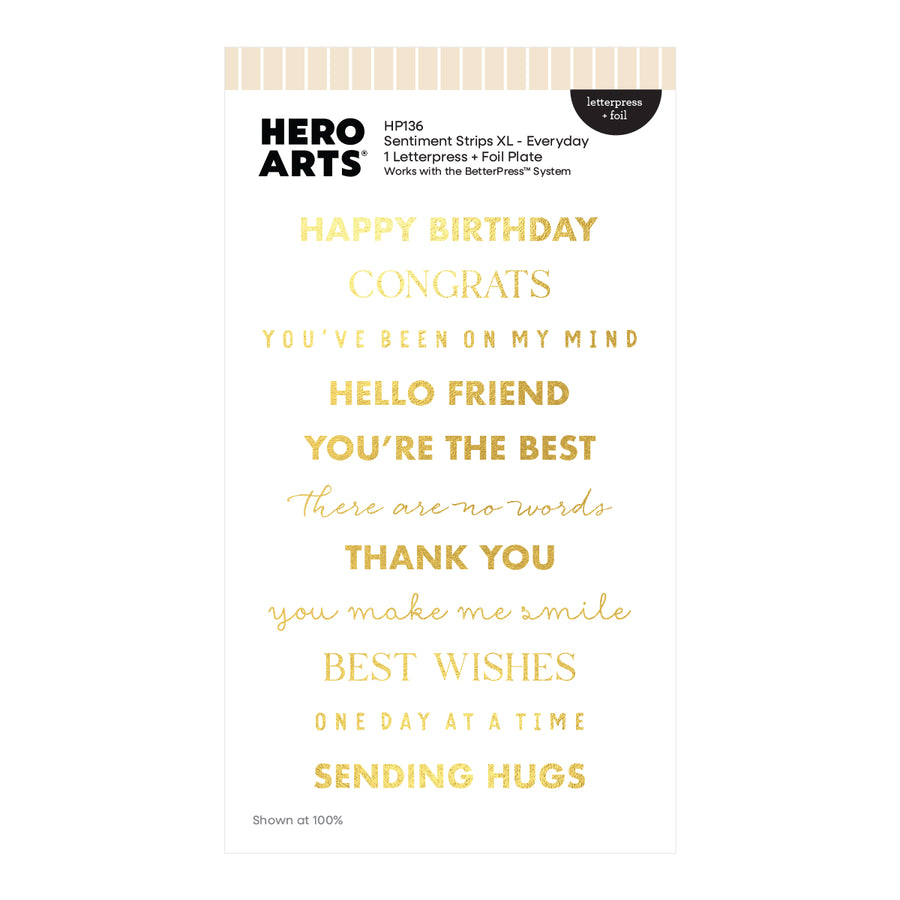 Hero Arts - Sentiment Strips XL - Everyday Letterpress + Foil