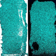 Simon Hurley create. - Tropical Tango Astro Paste