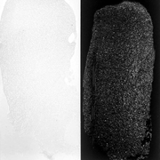 Simon Hurley create. - Frostbite Astro Paste