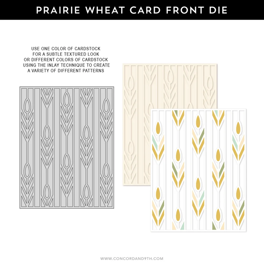 A product information graphic for a Prairie Wheat Card Front Die by Concord and 9th. The graphic features a black header with white text, followed by instructions and three sample card designs showing different wheat patterns in gray, beige, and white with gold and sage green accents.