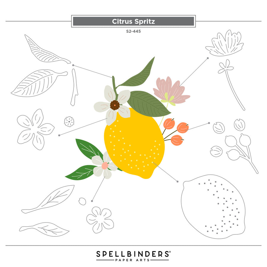 Spellbinders - Citrus Spritz Etched Dies from the La Dolce Vita Collection