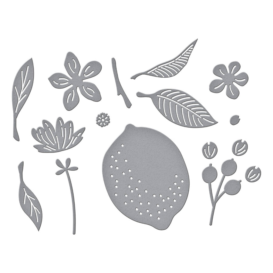 Spellbinders - Citrus Spritz Etched Dies from the La Dolce Vita Collection