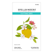 Spellbinders - Citrus Spritz Etched Dies from the La Dolce Vita Collection