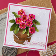 Spellbinders - Primrose Etched Dies by Susan Tierney-Cockburn