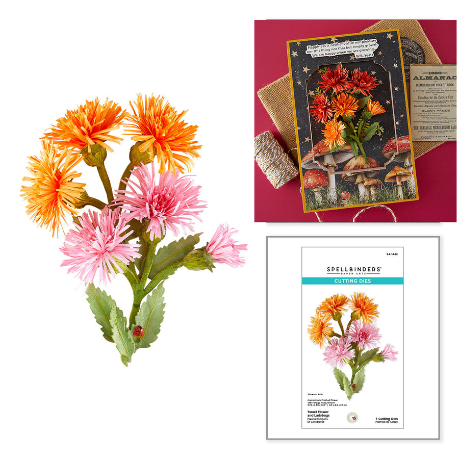 Spellbinders - Tassel Flower and Ladybugs Etched Dies by Susan Tierney-Cockburn