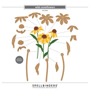 Spellbinders - Wild Coneflowers Etched Dies by Simon Hurley